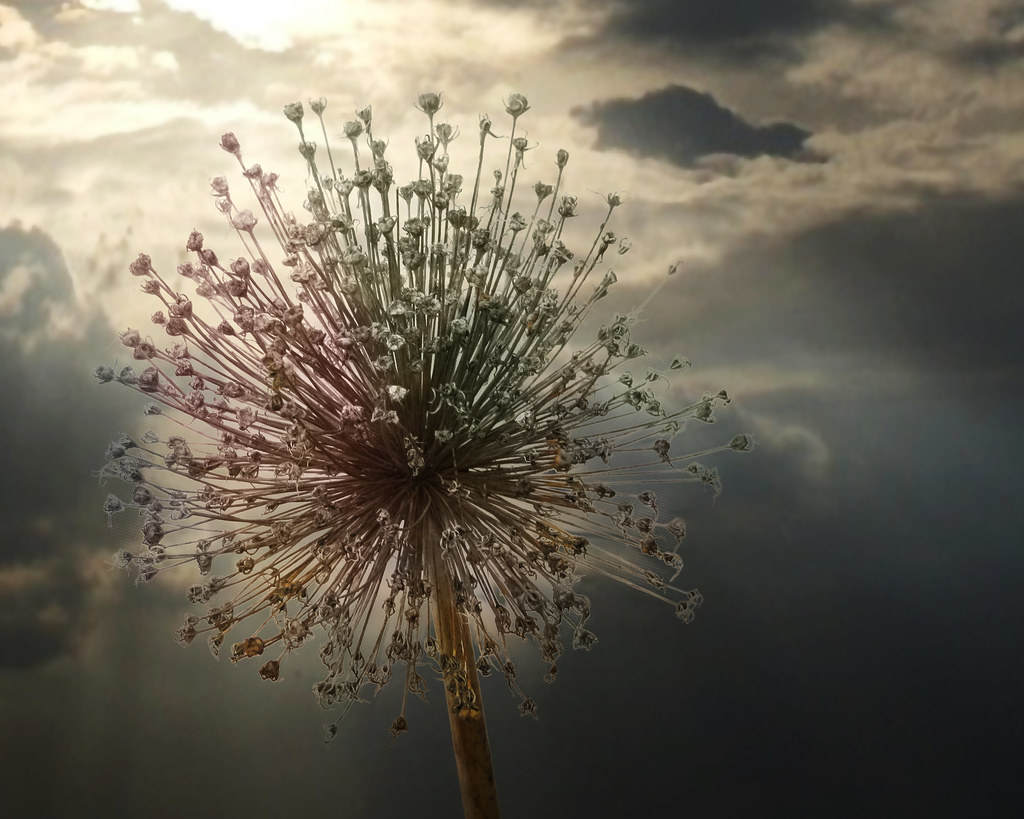 transition thérapeutique