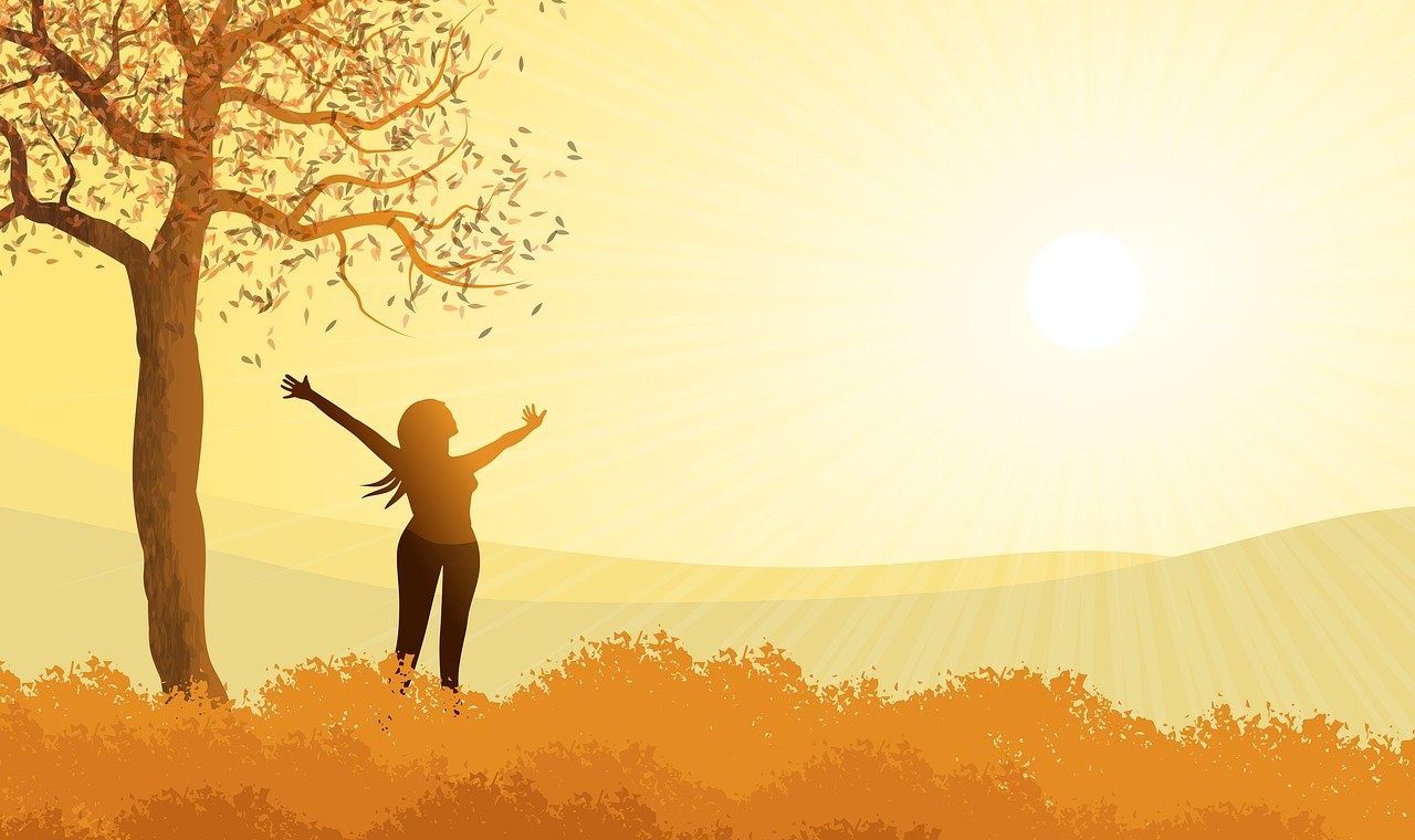 landscape, illustration, fall, woman, sun, transgénération libération, brightness, light, tree, sheets, freedom, station, background, wallpaper, nature, horizon, scenario, mystic, silhouette, environment, hills, art, design, afternoon, sunny, illustration, illustration, illustration, illustration, illustration, fall, fall, woman, woman, sun, sun, sun, sun, light, light, tree, background, background, nature, environment, environment, sunny, sunny