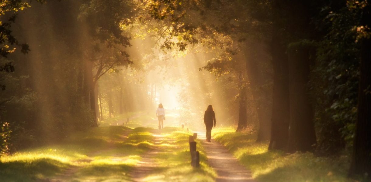 ma place, réalignement person standing on pathway between trees during daytime