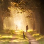 ma place, réalignement person standing on pathway between trees during daytime