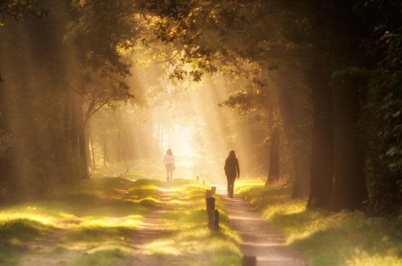 ma place, réalignement person standing on pathway between trees during daytime